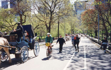 Inlineskaten im Central-Park