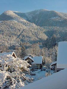 Winter 2003