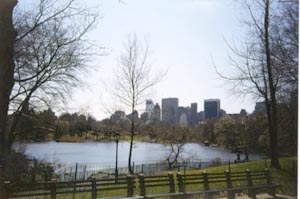 Central Park