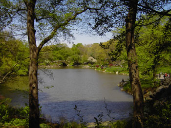 Central Park